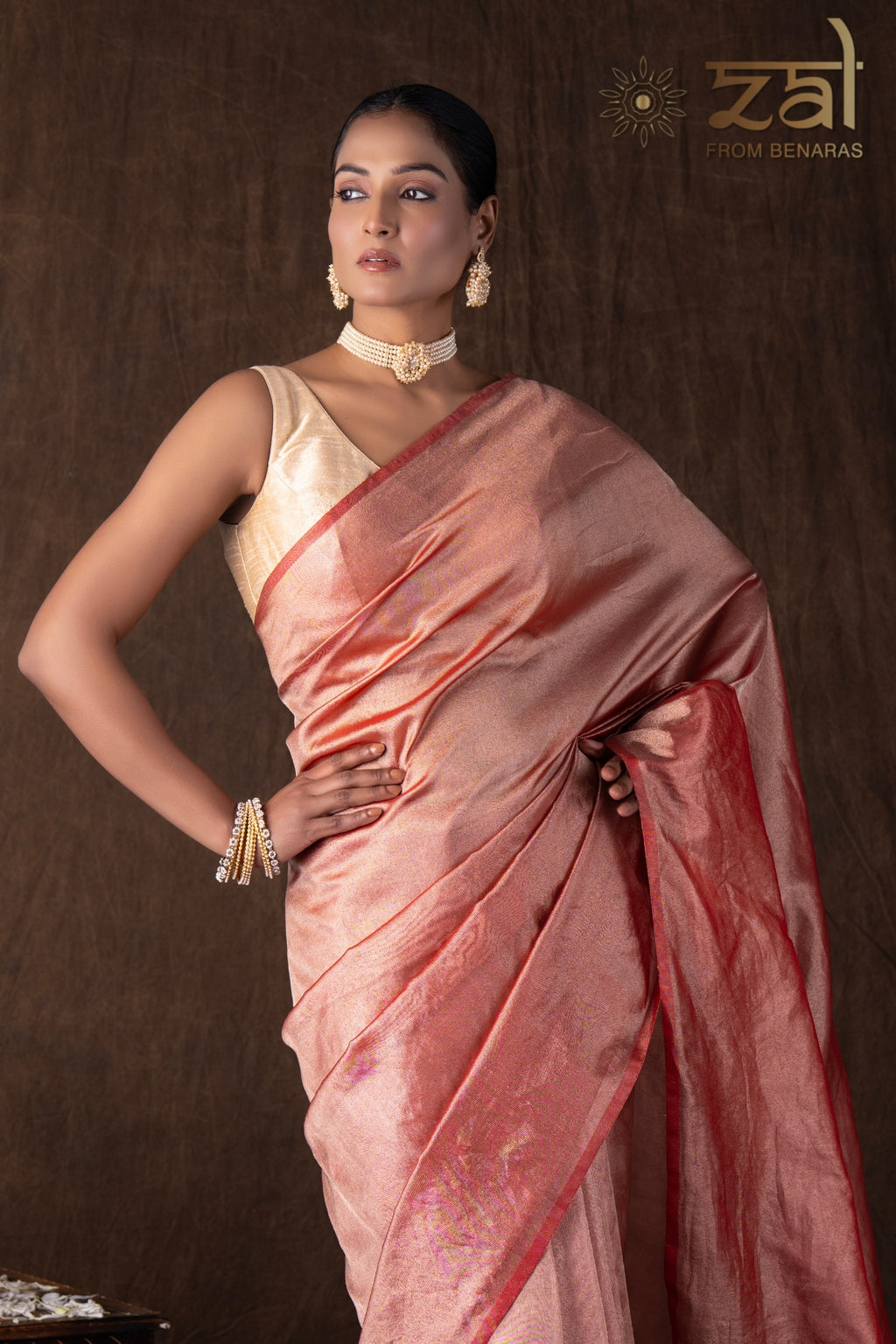 Red pure Tissue Plain Banarsi Handloom Saree