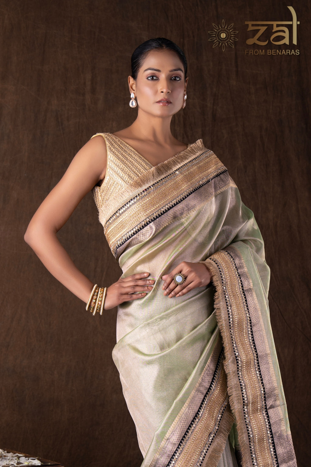 Pastel Green Pure Tissue Silk Banarasi Handwork Saree